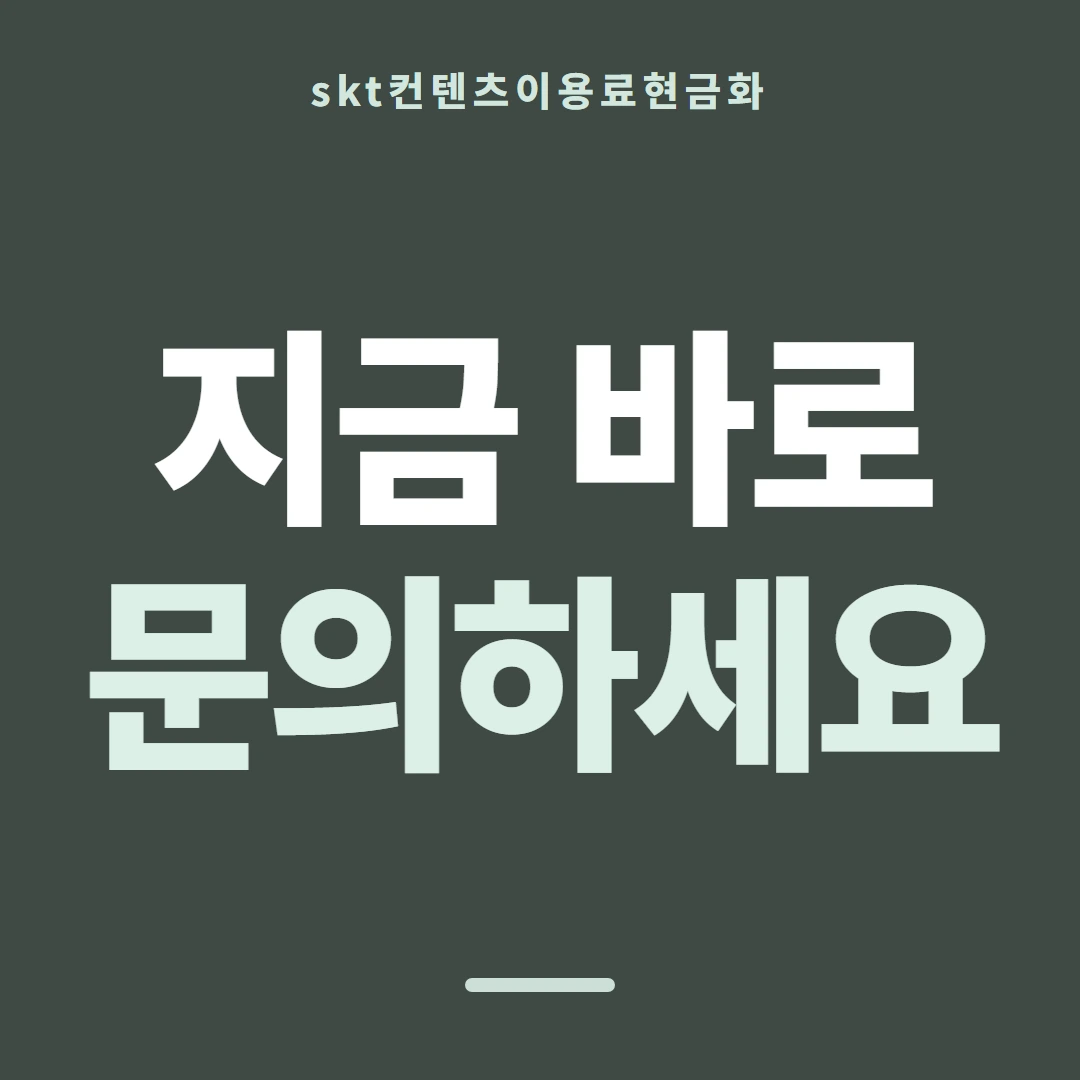 품티켓 SKT 콘텐츠이용료 어느 줄에 적히나 안내 이미지