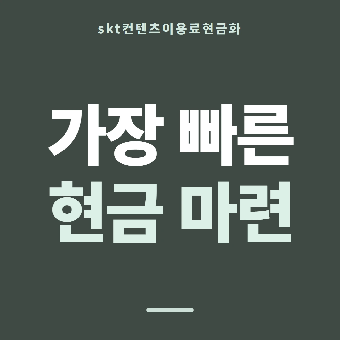 품티켓 SKT 콘텐츠이용료 내역 다시 보기 안내 이미지